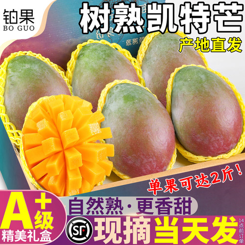 树上熟！顺丰精品凯特芒礼盒装