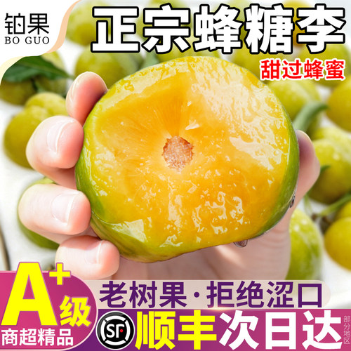 空运次日达丨正宗六马蜂糖李