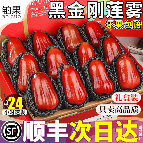 顺丰次日达丨黑金刚莲雾5斤礼盒