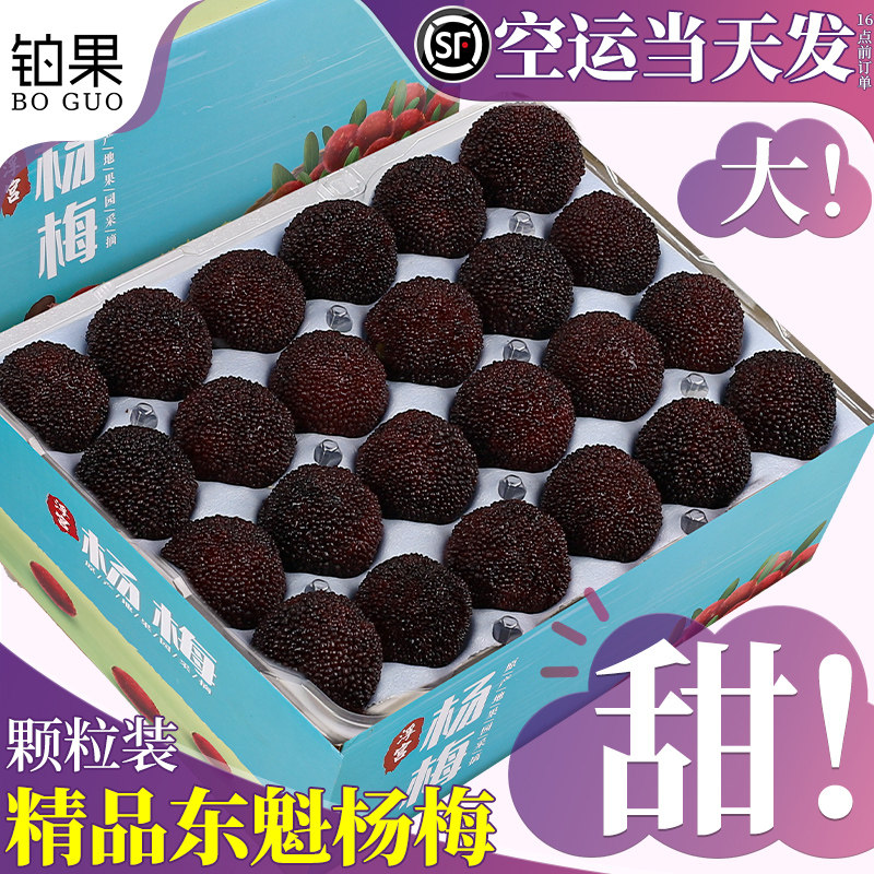 顺丰空运漳州东魁大杨梅新鲜现摘现发水果当季整箱颗粒装包邮孕妇