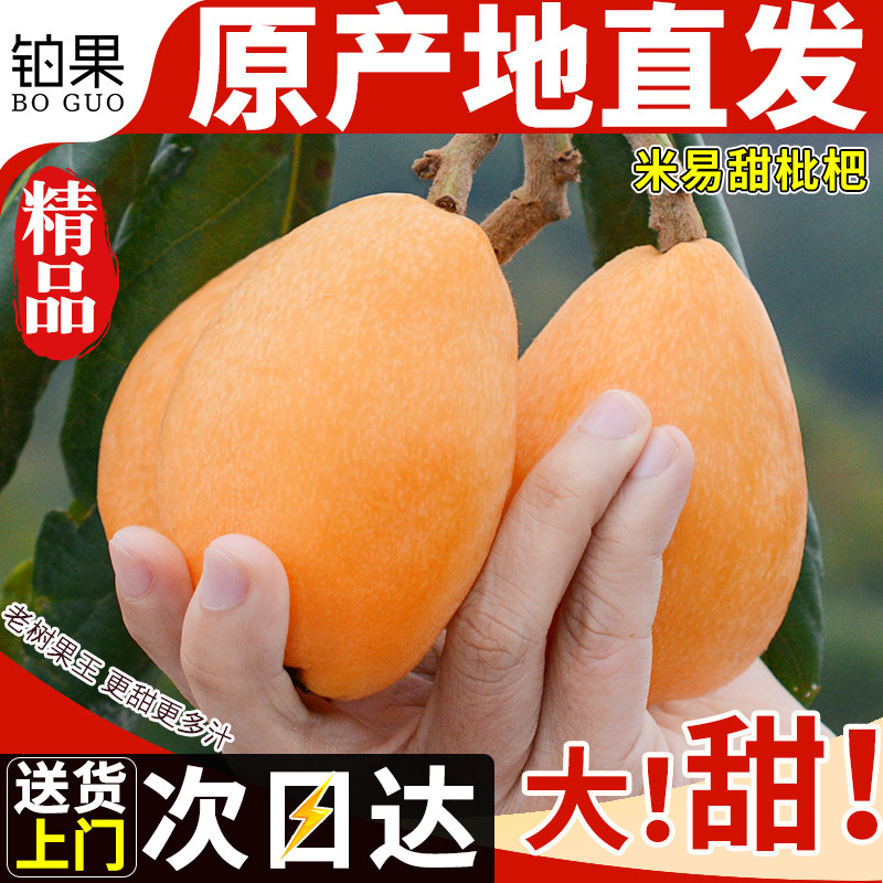 顺丰包邮10斤四川攀枝花米易枇杷新鲜水果应季批把现摘特大果礼盒