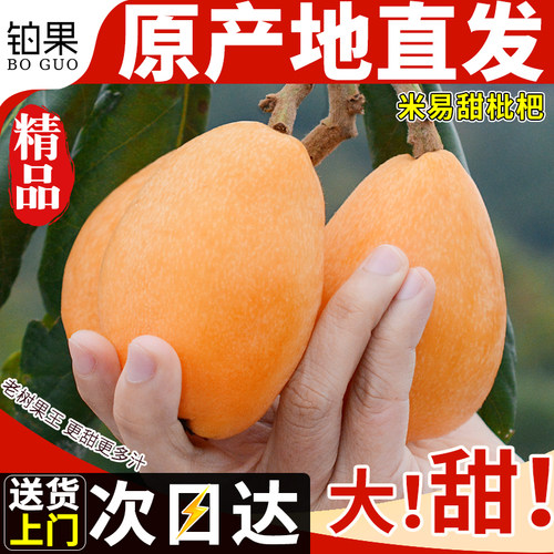 顺丰次日达丨米易枇杷精美礼盒装