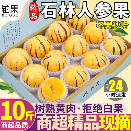 铂金品质丨石林人参果丨拒绝白果