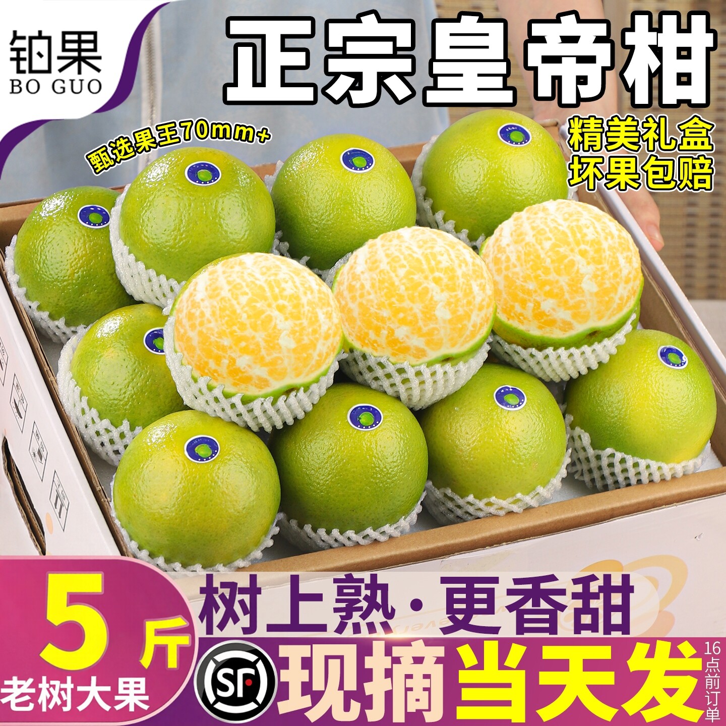 铂果顺丰礼盒 5斤正宗皇帝柑当季新鲜水果桔子橘子包邮整箱甜大果