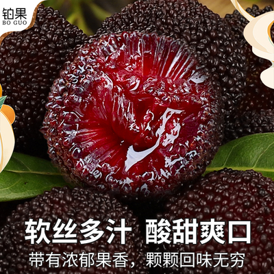 空运次日达丨浮宫大杨梅产地直发