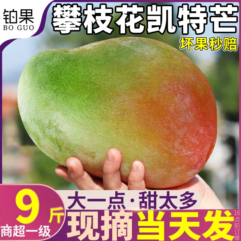 铂果9斤攀枝花凯特芒新鲜水果现摘现发当季青皮大澳芒果整箱包邮5