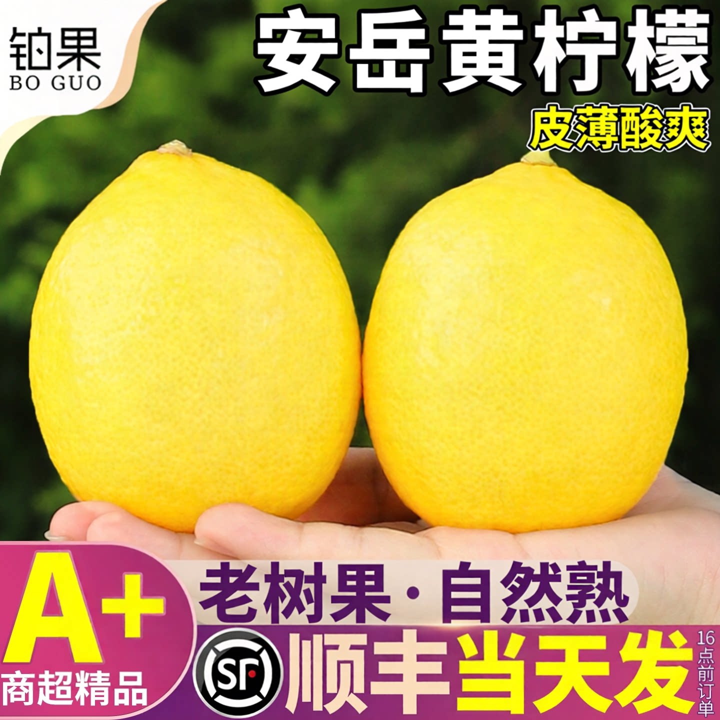 铂果 安岳柠檬9斤新鲜水果尤力克黄柠檬皮薄特级香水整箱顺丰包邮