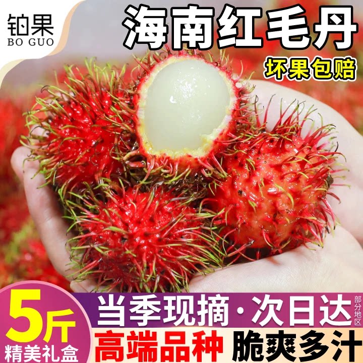 冷链速发!5斤装海南新鲜红毛丹