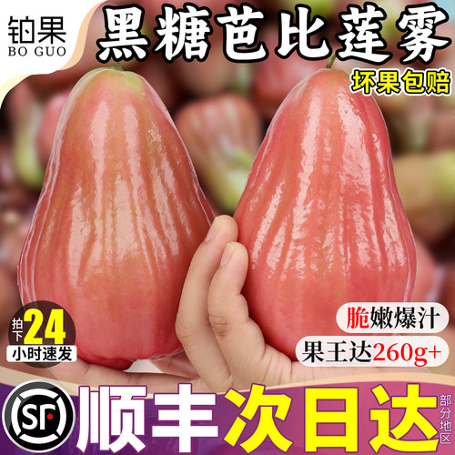 顺丰次日达丨特大果黑糖芭比莲雾