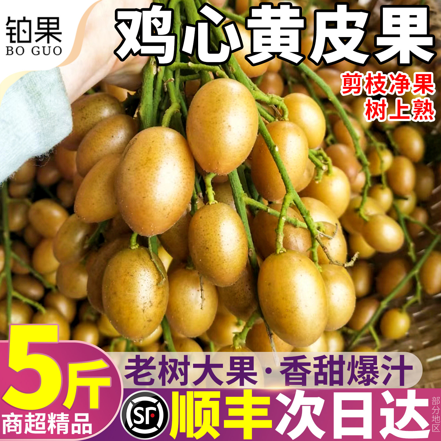 顺丰次日达丨新鲜现摘鸡心黄皮果