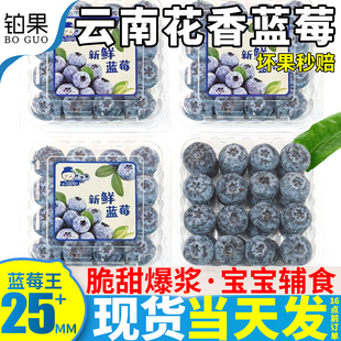 顺丰12盒云南花香蓝莓新鲜水果当季特大怡颗蓝梅鲜果整箱包邮浆果