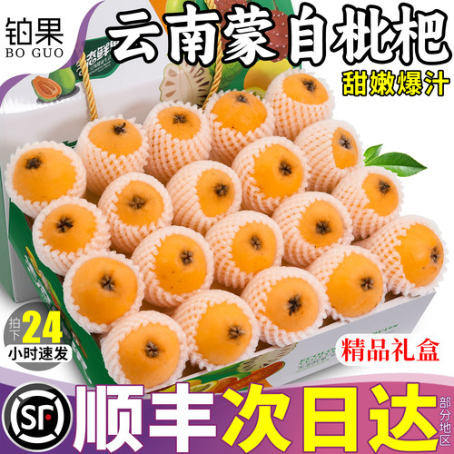 顺丰次日达丨蒙自甜枇杷5斤礼盒
