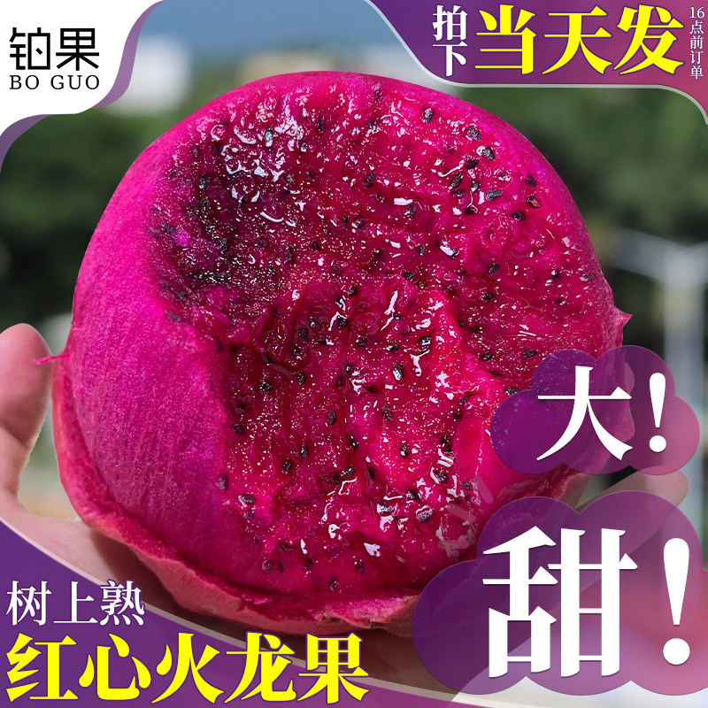 顺丰当天发丨红心火龙果丨包邮