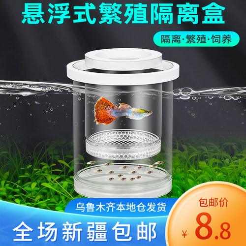 新疆包邮鱼缸迷你漂浮繁殖隔离盒