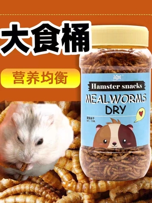 Hamster food hedgehog mealworms dry yellow powder insect