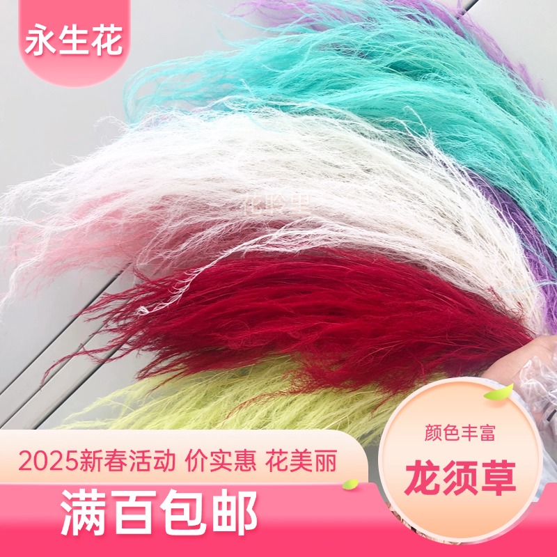 龙须草永生花天然真花