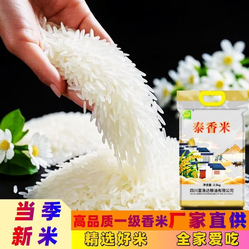 山姆冠名家用大米泰香米做饭煮粥当季新米五斤袋装煲仔饭米蛋炒饭