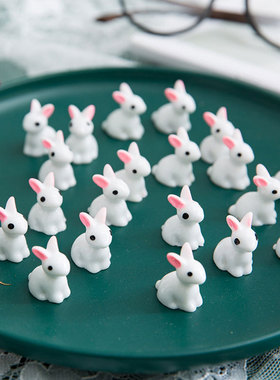 微景观微缩小摆件小耳朵白兔 兔子树脂工艺品迷你摆件diy配件
