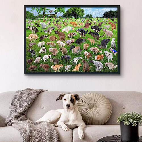 101 pooping puppies 101只狗狗便便拼图1000片小狗拉屎拼图