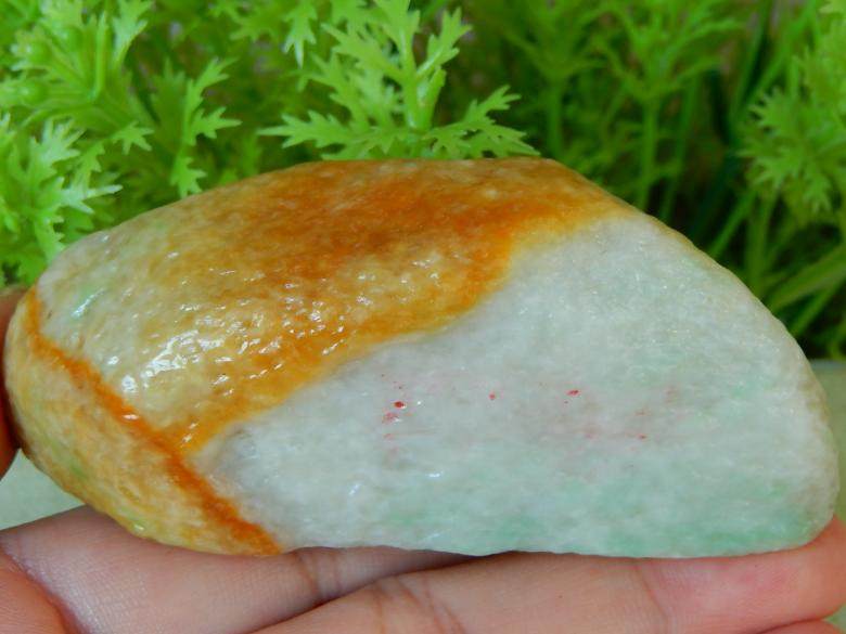 缅甸天然A货翡翠原石半明料玉石大马坎黄翡飘绿手玩件边角料Y6181