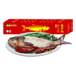 查干湖冬捕有机胖头鱼 查干湖鱼春节年货年夜饭大礼包