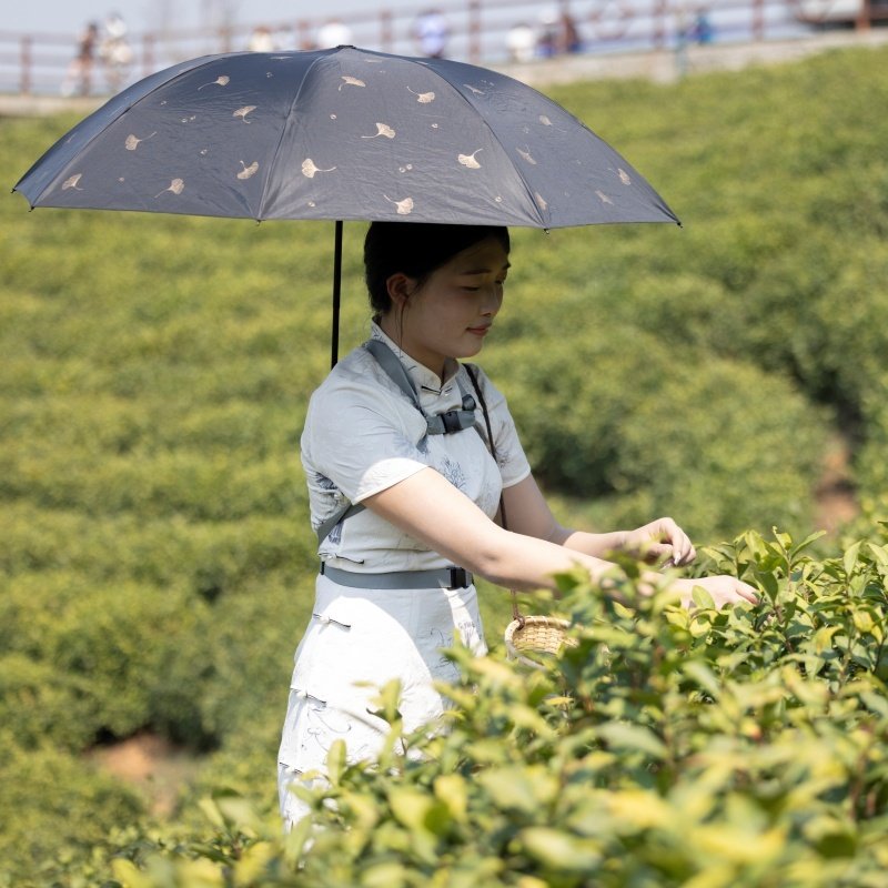 免手持打伞神器钓鱼伞撑钓鱼登山写生摄影解放双手摆摊雨伞固定器