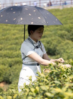 免手持打伞神器钓鱼伞撑钓鱼登山写生摄影解放双手摆摊雨伞固定器