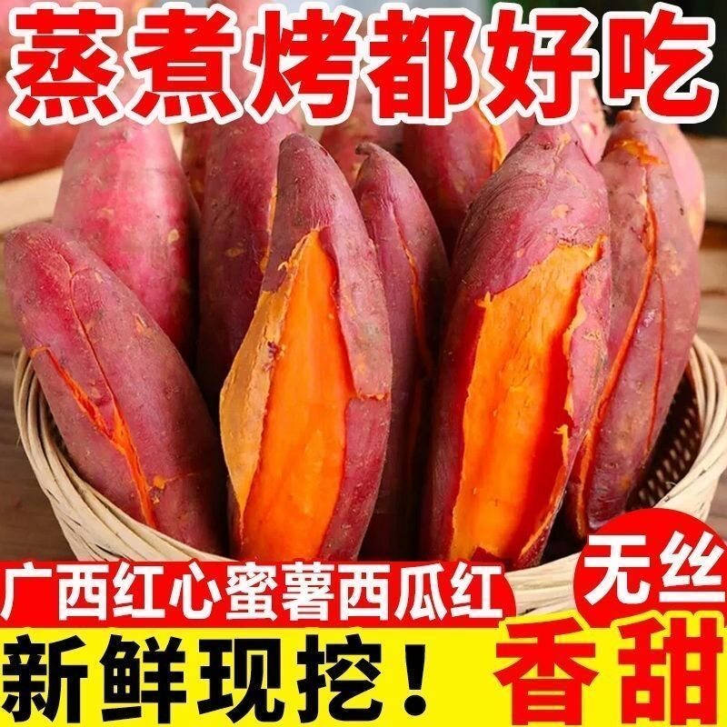 广西红心蜜薯香甜软糯无丝大果