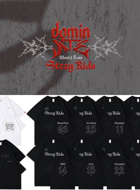 StrayKids2025世巡演唱会dominATE日本场周边同款衣服纯棉短袖T恤