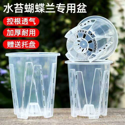 专用水晶盆景花烛天南星科控根盆透气蝴蝶兰花盆热植盆青山盆