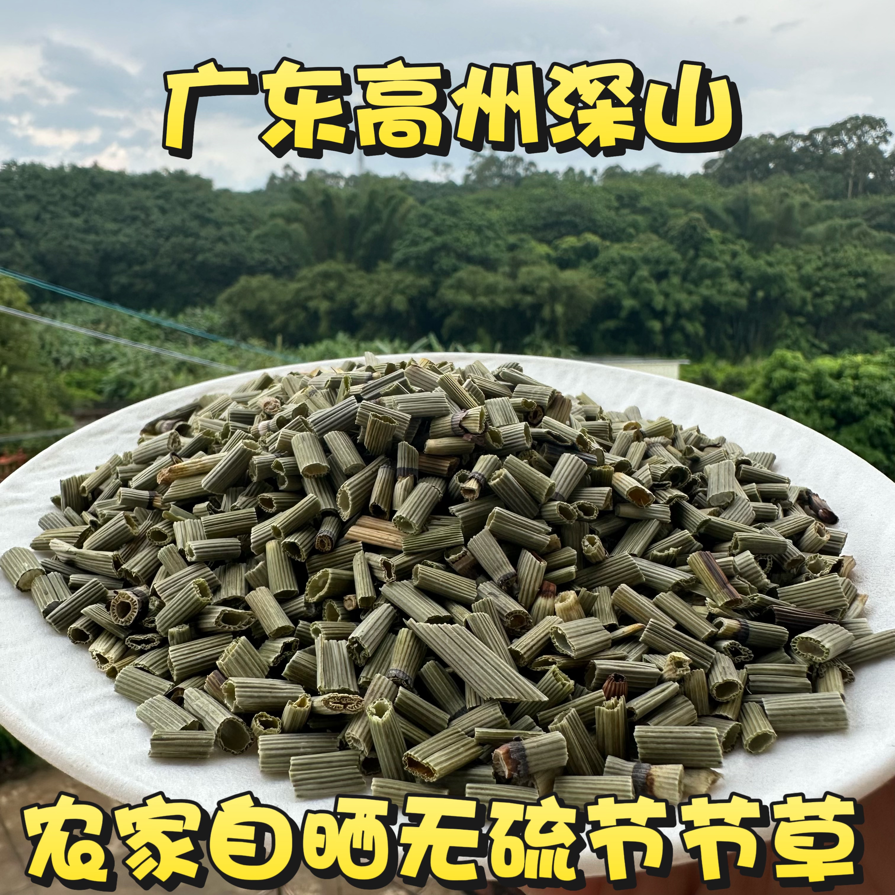 木贼中药材节节草 正品野外千峰草笔头草 笔筒草节骨草无心草锉草