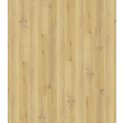 得高地板比利时进口灰色耐磨