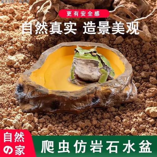 爬宠食盆水盆角蛙陆龟蛇泡澡盆
