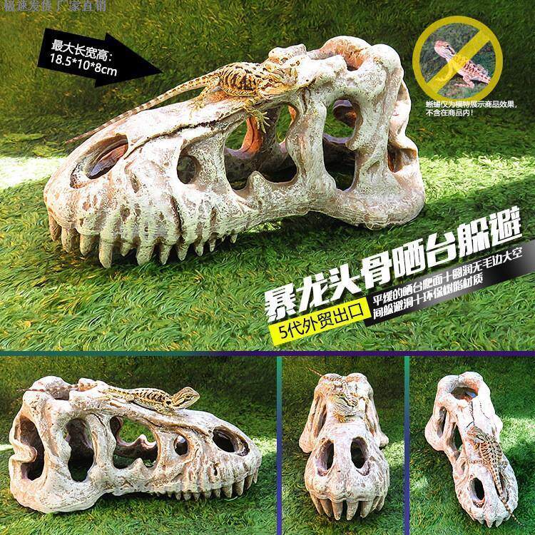 亚克力爬虫饲养箱造景头火玫瑰蜘蛛蝎子蜥蜴守宫骨犀牛羊骷髅头