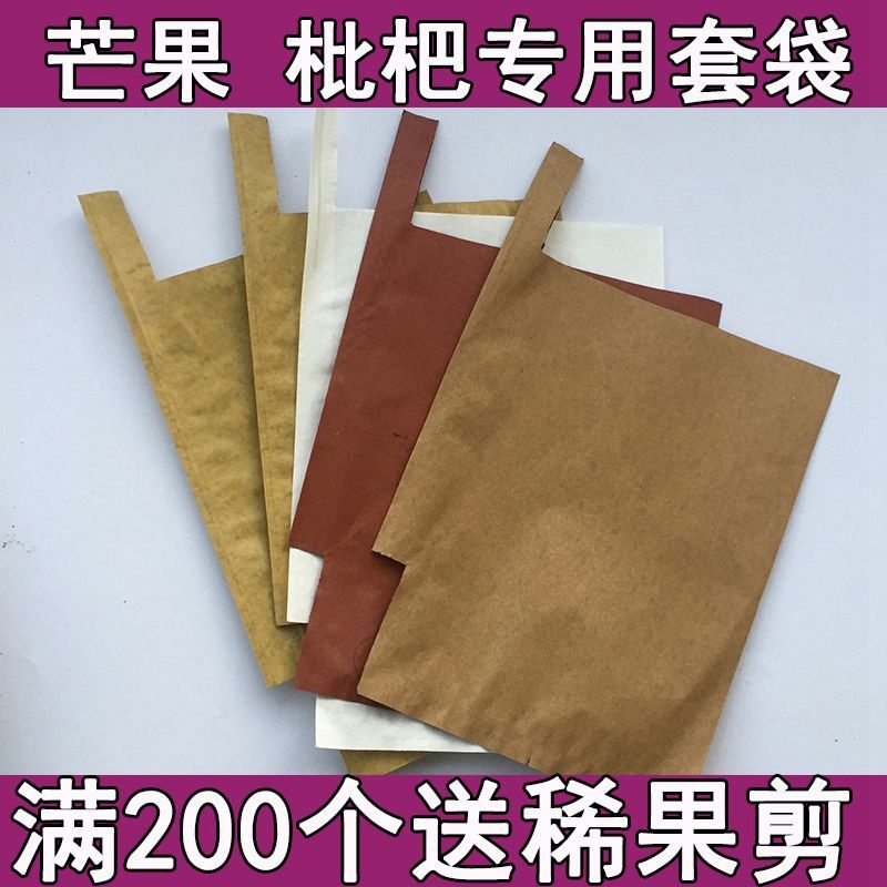 枇杷专用套袋芒果防虫图片
