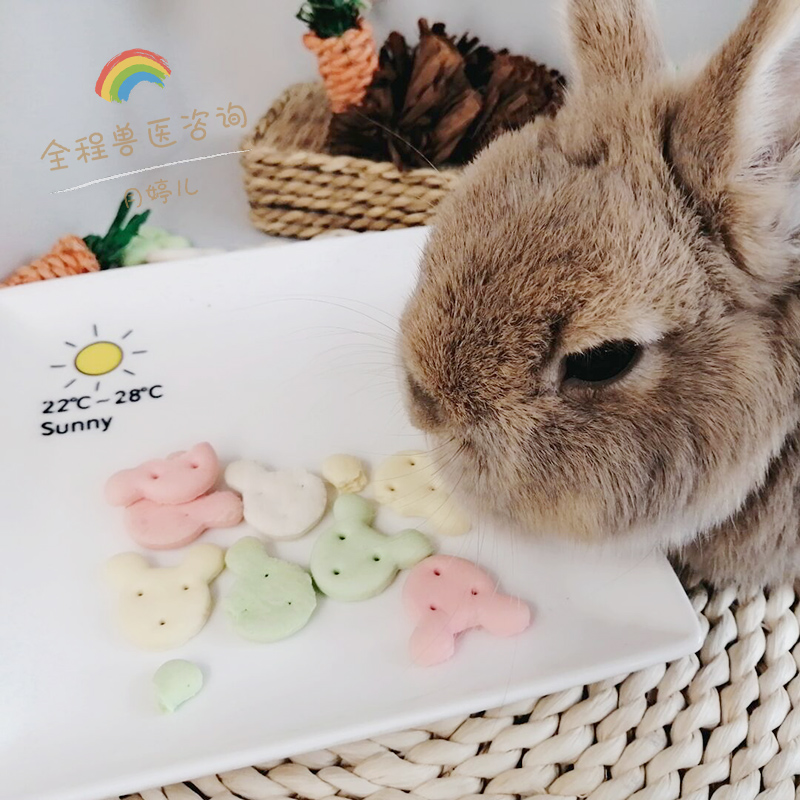 除臭饼干调理兔子刺猬日常消臭