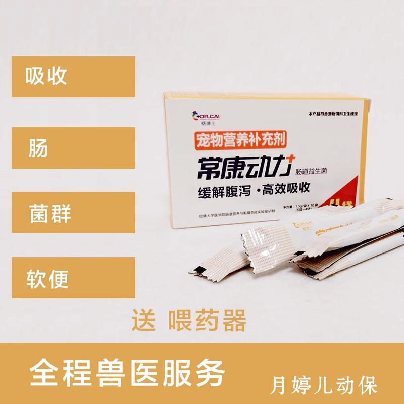 康动力肠道有菌兔子土拨鼠花枝豚鼠龙猫用仓鼠肠胃