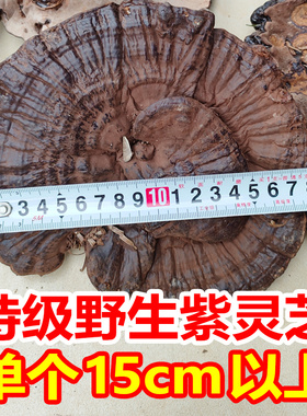 特级纯野生紫灵芝整朵干货贵州天然整枝正品林芝可切片一斤500g装