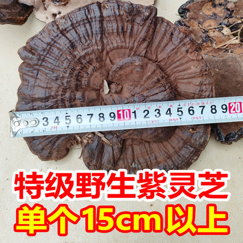 特级纯野生紫灵芝整朵干货贵州天然整枝正品林芝可切片一斤500g装