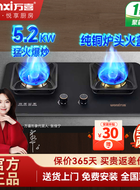 万喜燃气灶JZT-818B2家用厨房大火力双灶大面板台式嵌入式纯铜