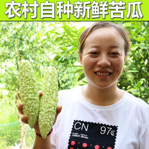 湖南衡阳本地珍珠苦瓜