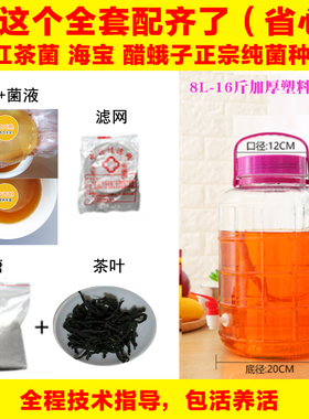 正宗红茶菌老胃宝菌种红茶菌种家用海宝醋蛾子发酵母液食用酵素