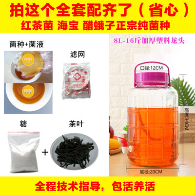 正宗海宝母液食用酵素红茶菌