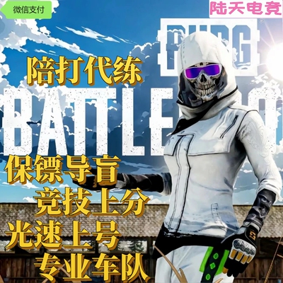 绝地上分大师保镖导盲雷达共享