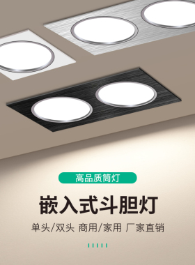 三色变光双头筒灯嵌入式长方形客厅灯过道玄关天花led射灯斗胆灯