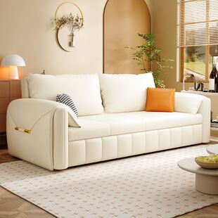 多功能两用可折叠直排沙发变床可储物小户型客厅双人家用猫爪皮