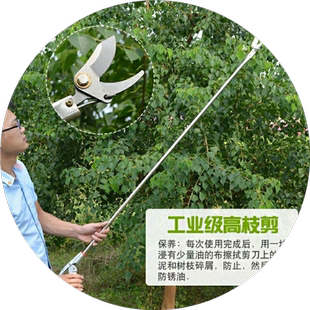 不锈钢高空修枝剪刀长杆2米1.5米1米家用强力省力粗枝园艺SK5剪刀