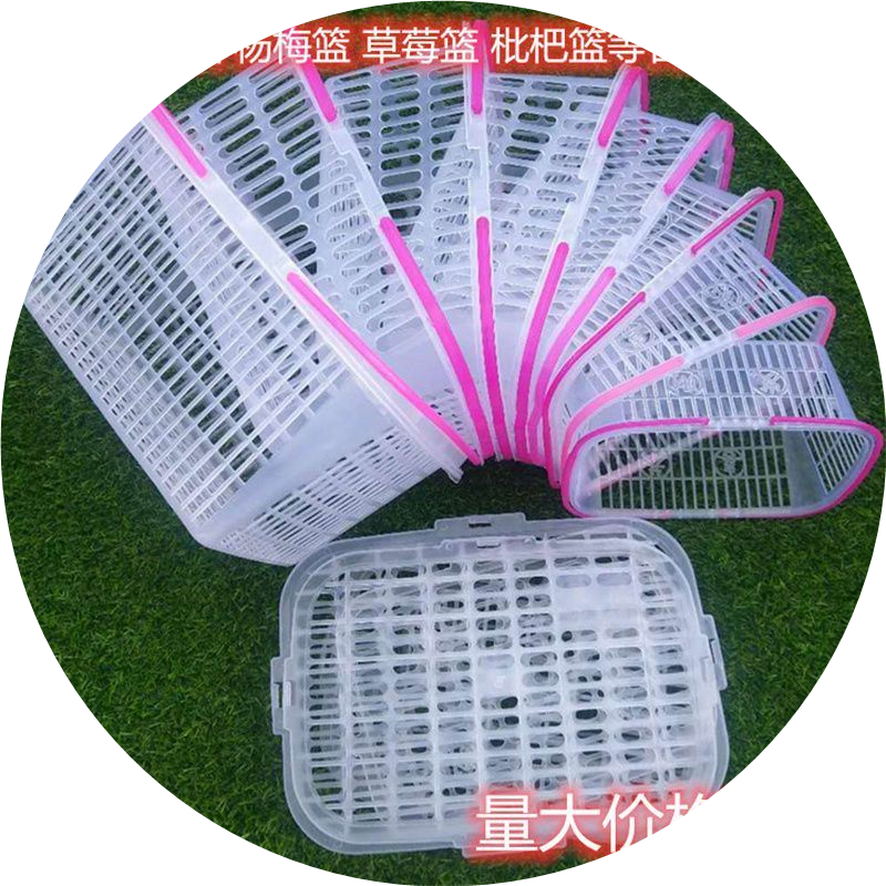 杨梅篮采摘塑料有盖5斤10斤手提包装蓝草莓鸡蛋樱桃水果蔬菜篮子