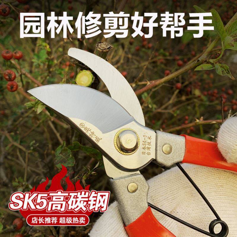 园林修枝剪刀修剪树枝果树剪刀园艺修花工具果枝剪蔬果修粗枝剪刀