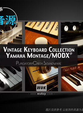 Yamaha MONTAGE M（音色）Vintage Keyboard 复古键盘音色